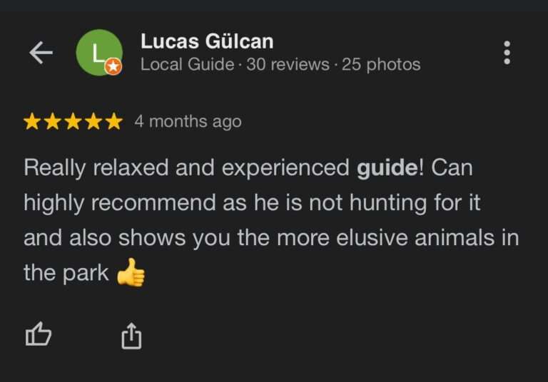 Review (11)