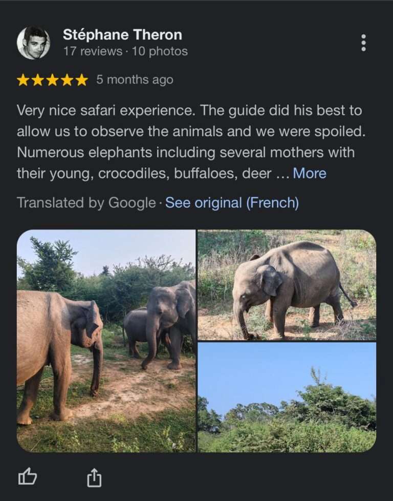Review (12)