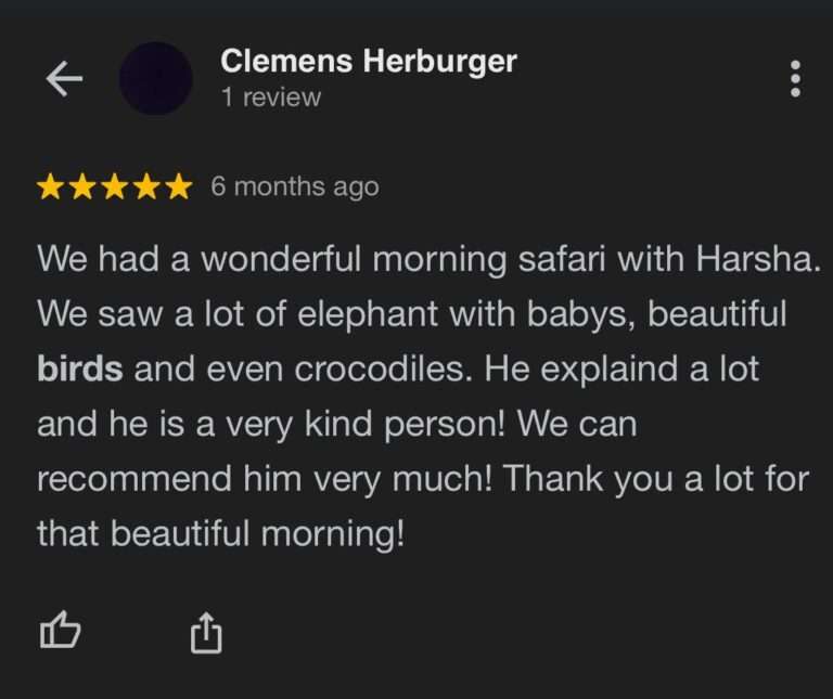 Review (13)