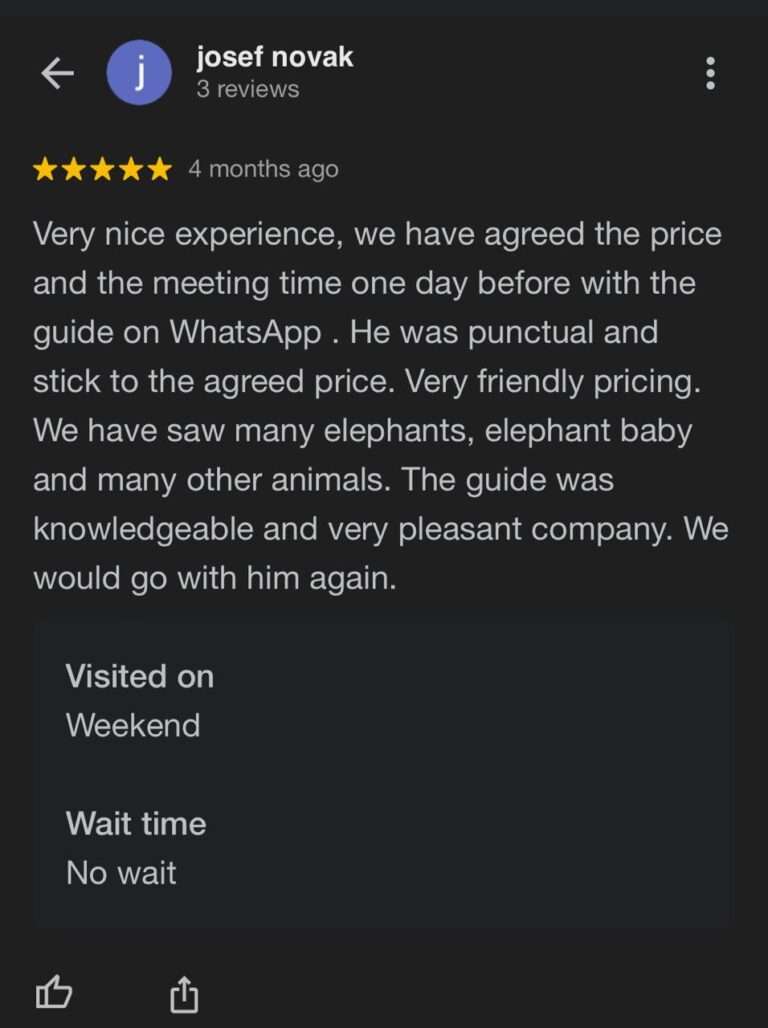 Review (3)