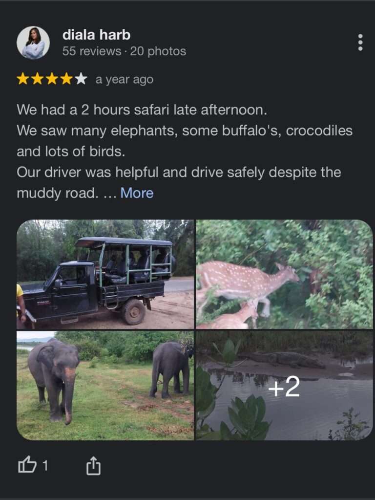 Review (5)