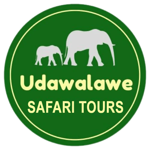 Udawalawe Safari Tours