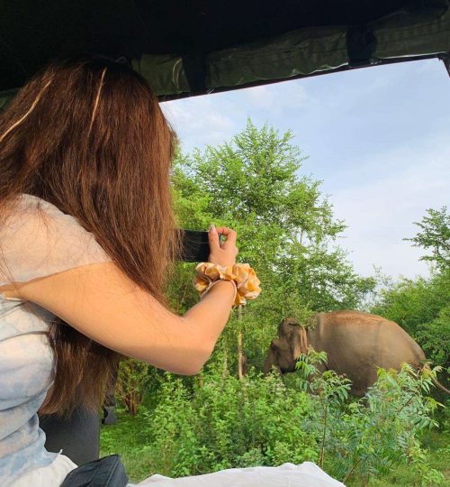 Safari 2